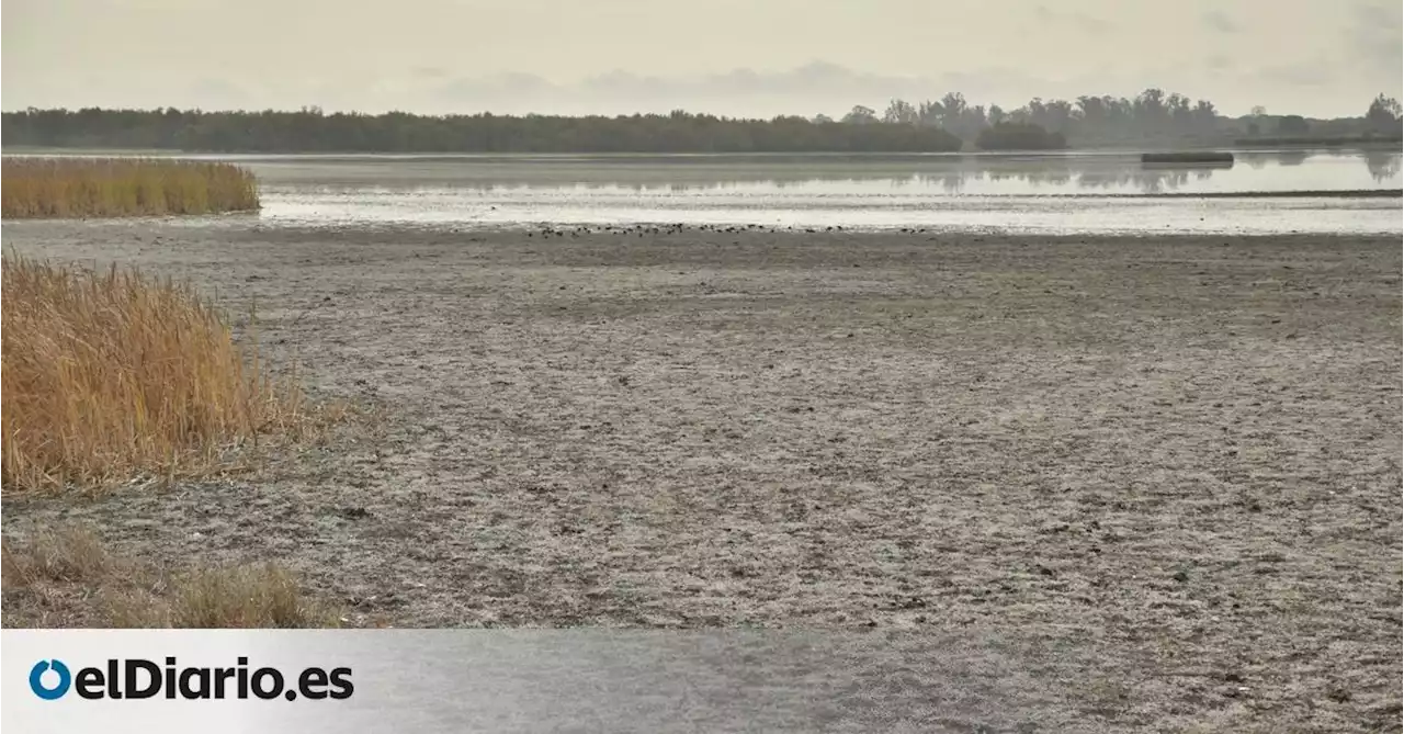 Las venas cortadas de Doñana, 25 años después del vertido tóxico de Aznalcóllar