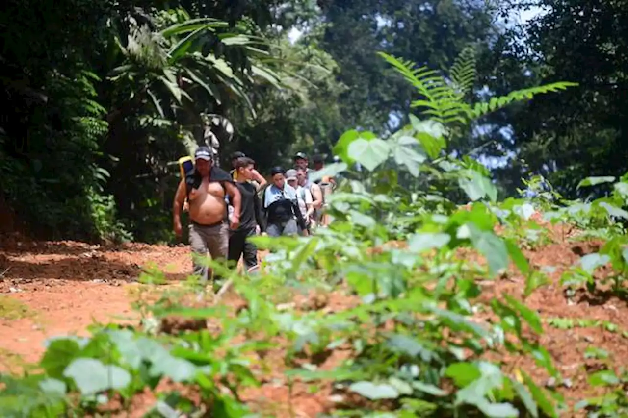 Colombia fortalece la presencia de autoridades migratorias en la puerta del Darién