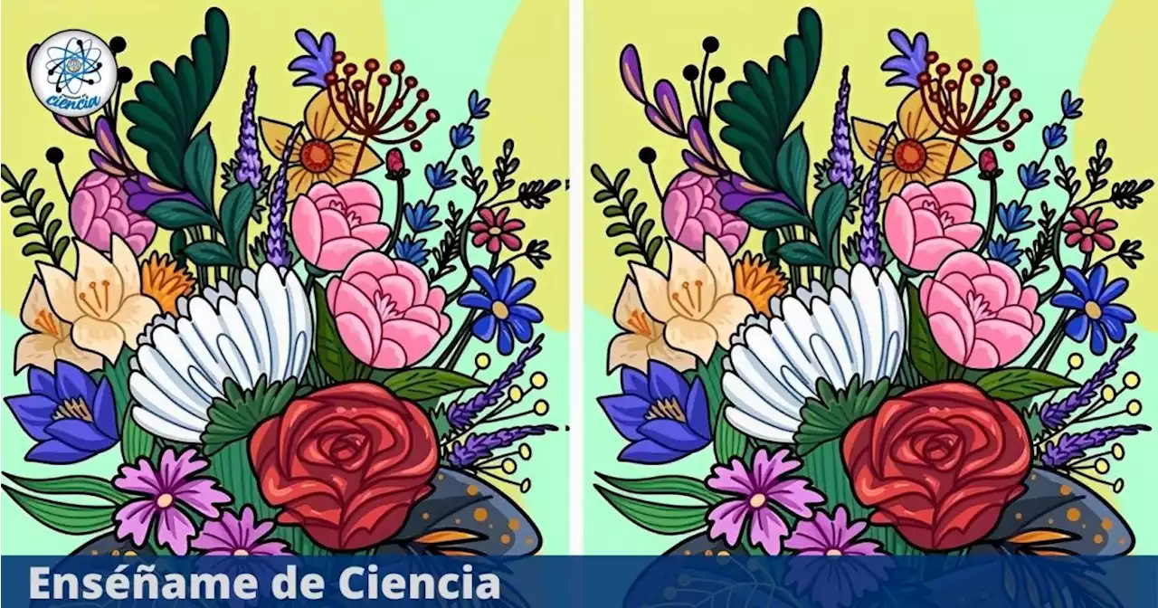 ¿Eres capaz de superar el reto visual de las flores? Encuentra todas las diferencias en tiempo récord