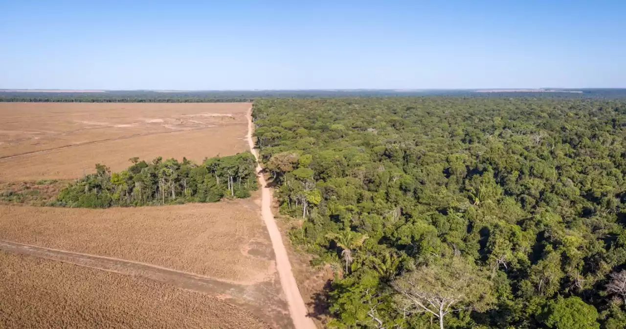 México se quedó sin recursos para hacer frente a una crisis climática