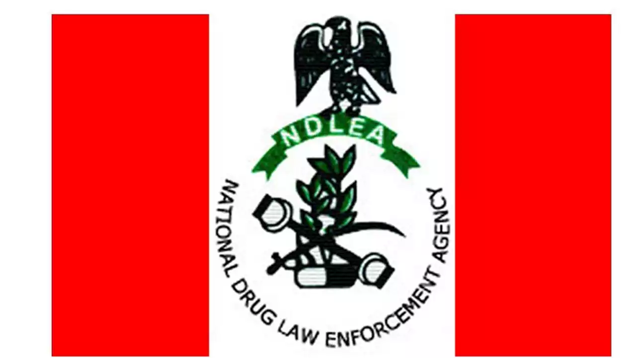 NDLEA intercepts illicit drugs in imported car, food items | The Guardian Nigeria News - Nigeria and World News