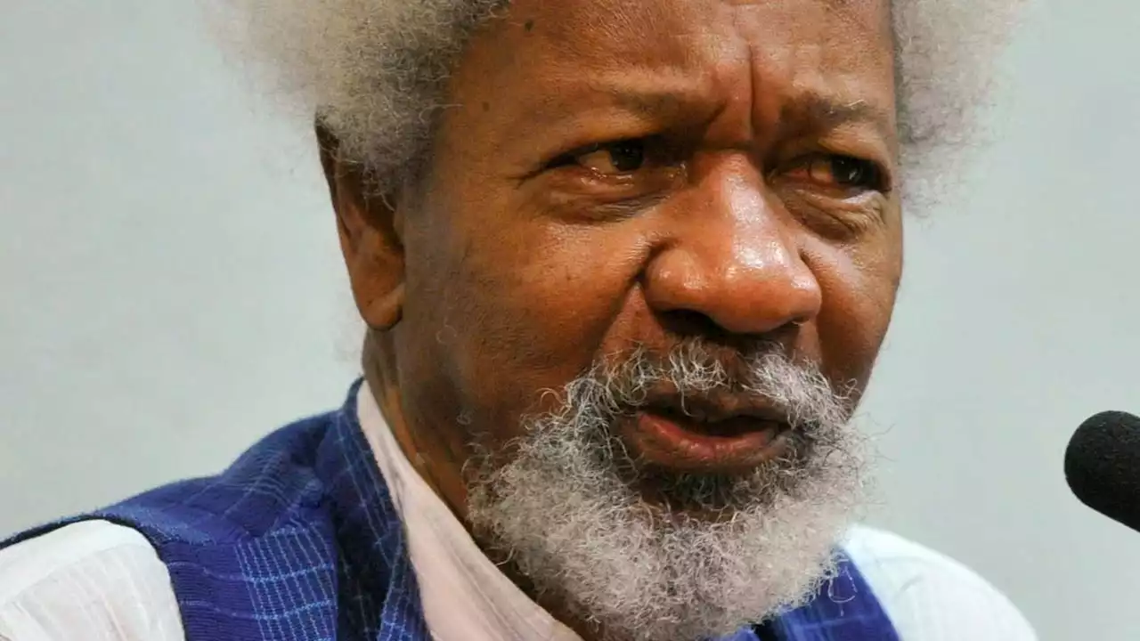 Soyinka’s shuttle in the youth crypt | The Guardian Nigeria News - Nigeria and World News