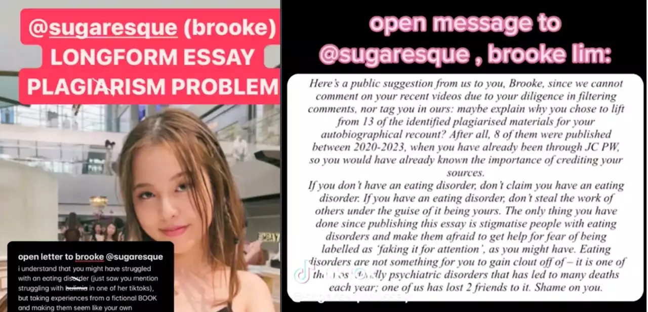 SG's social media influencer Sugaresque plagiarism scandal goes international; story carried by US, UK, HK media - Singapore News