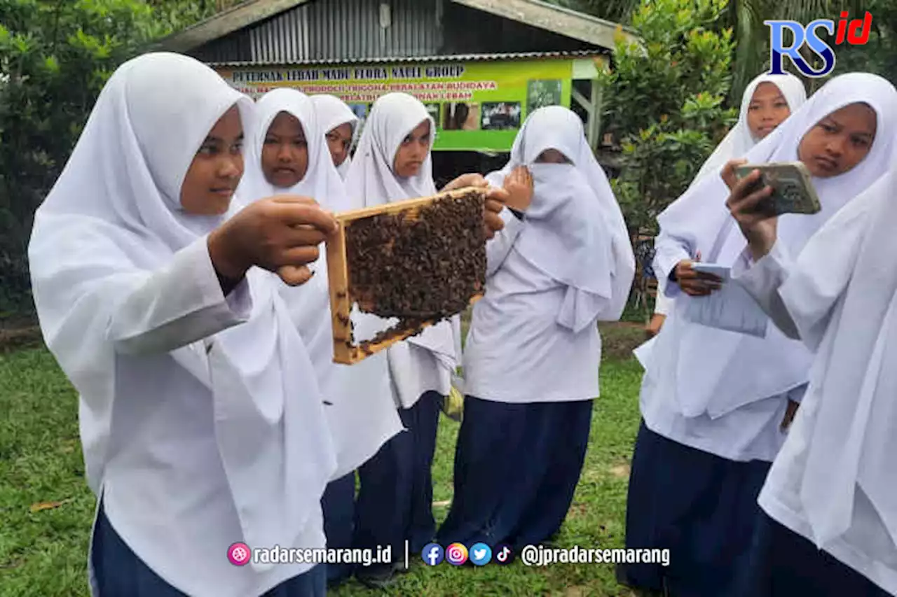 Kisah Pengusaha Madu Siantar Raih Sukses dan Berdayakan Masyarakat, Sukses Bersama BRI