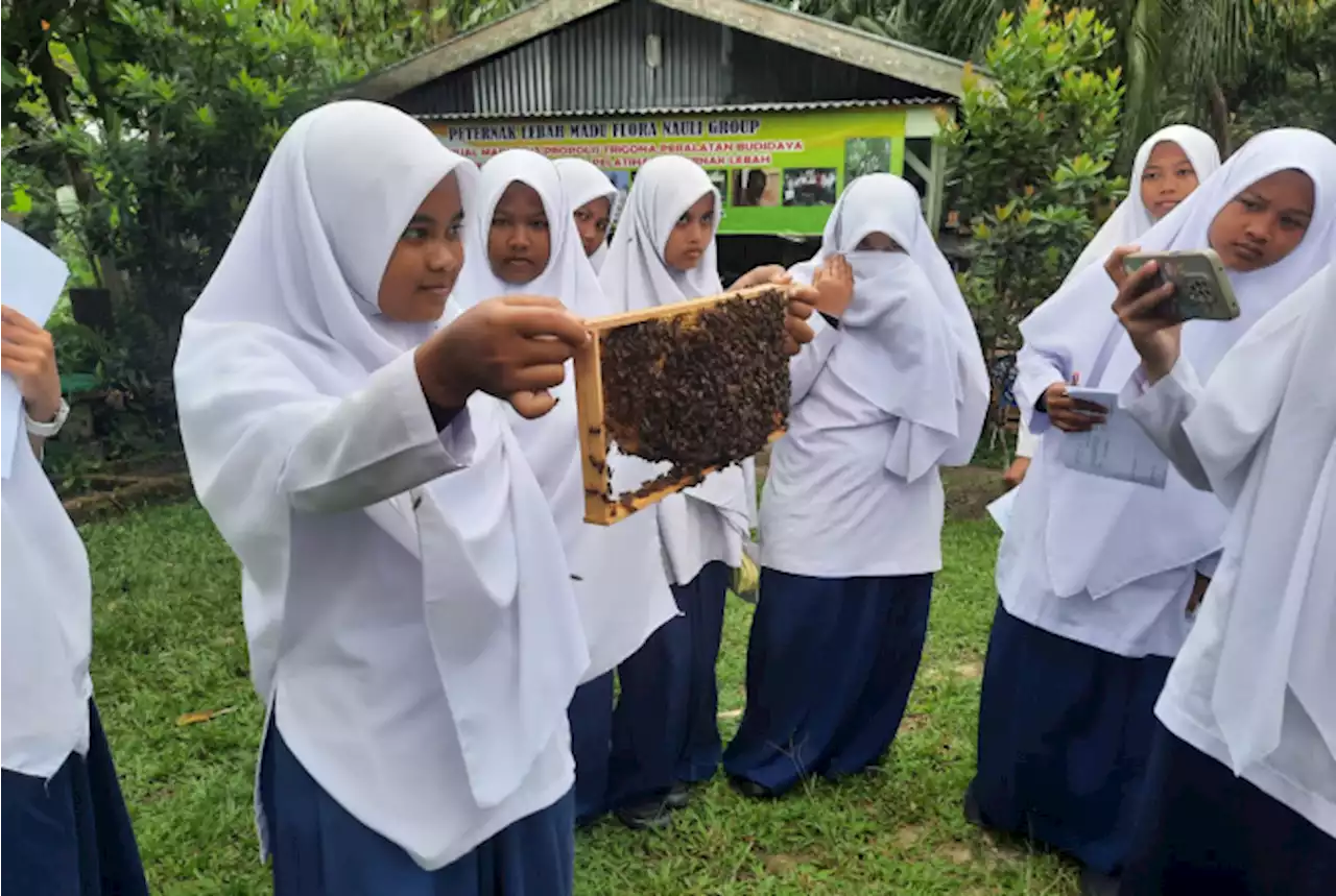 Kisah Pengusaha Madu Siantar Raih Sukses Dan Berdayakan Masyarakat, Sukses Bersama BRI