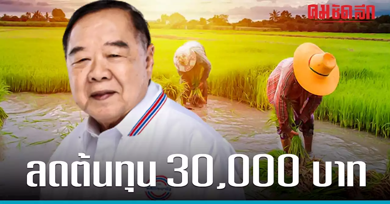 นโยบายใหม่ 'พลังประชารัฐ' เพิ่มเงินช่วยค่าเก็บเกี่ยวข้าวไร่ละ 2,000 บาท