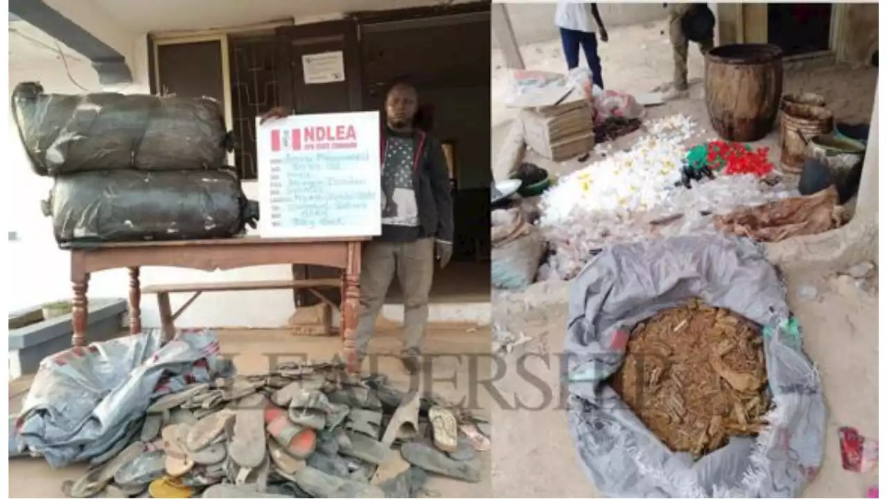 NDLEA Busts Adamawa Illicit Drug Factory Supplying Cameroon, Chad