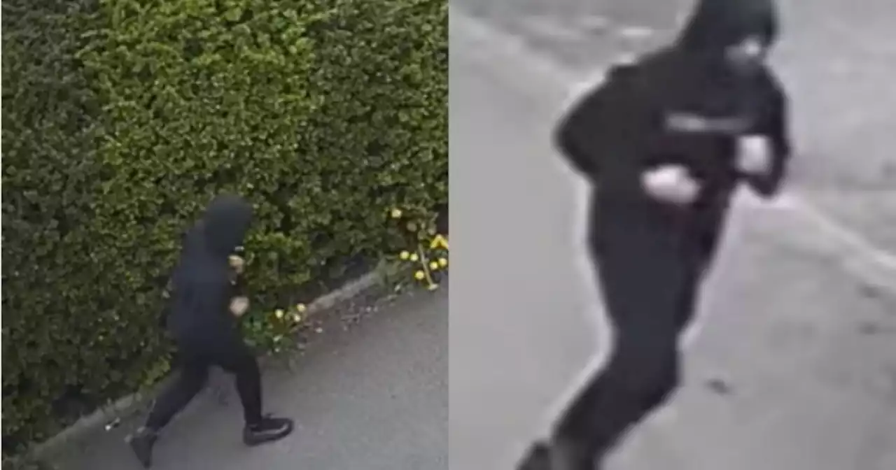 Police release CCTV images after girl sexually assaulted