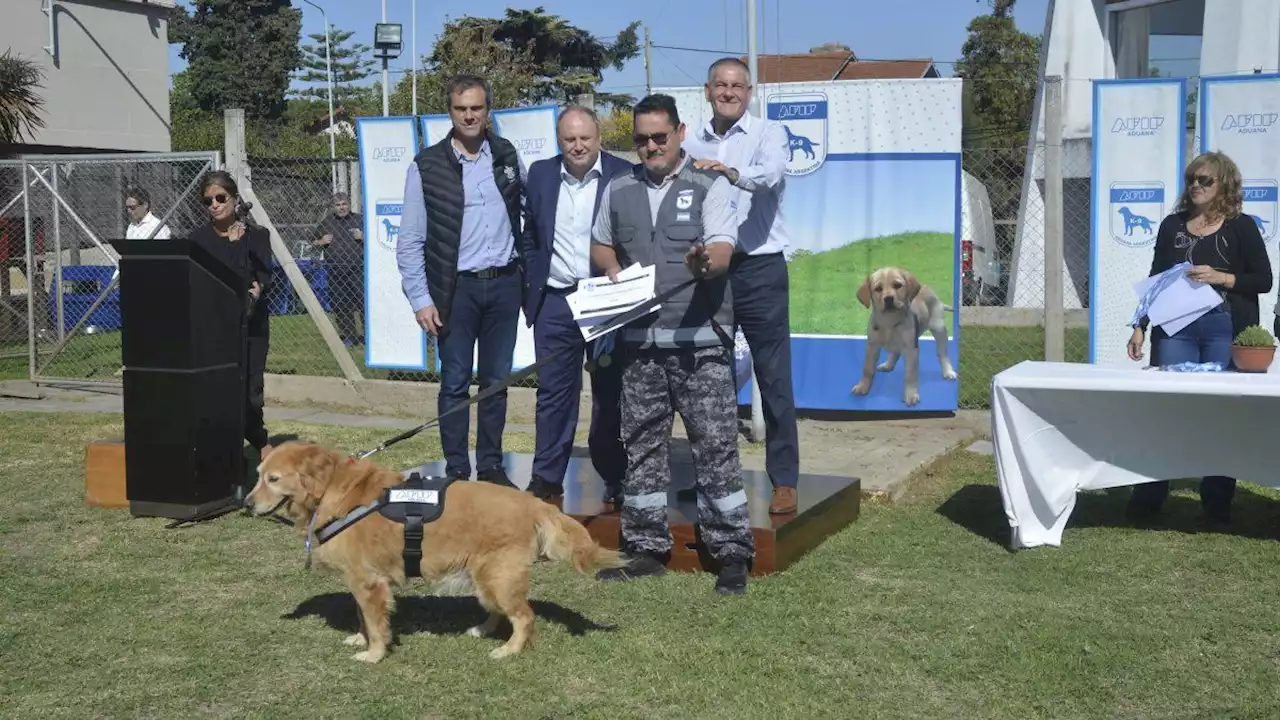 Día del Animal: 14 perros detectores de Aduana fueron jubilados y homenajeados