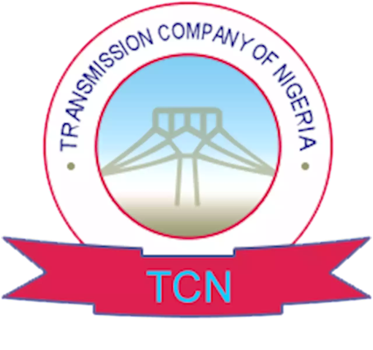 TCN suspends power firms for breaching market rules