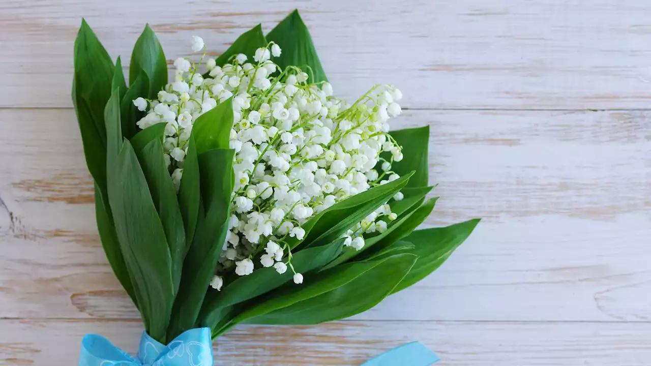 Je peux vendre du muguet dans la rue, vrai ou faux?