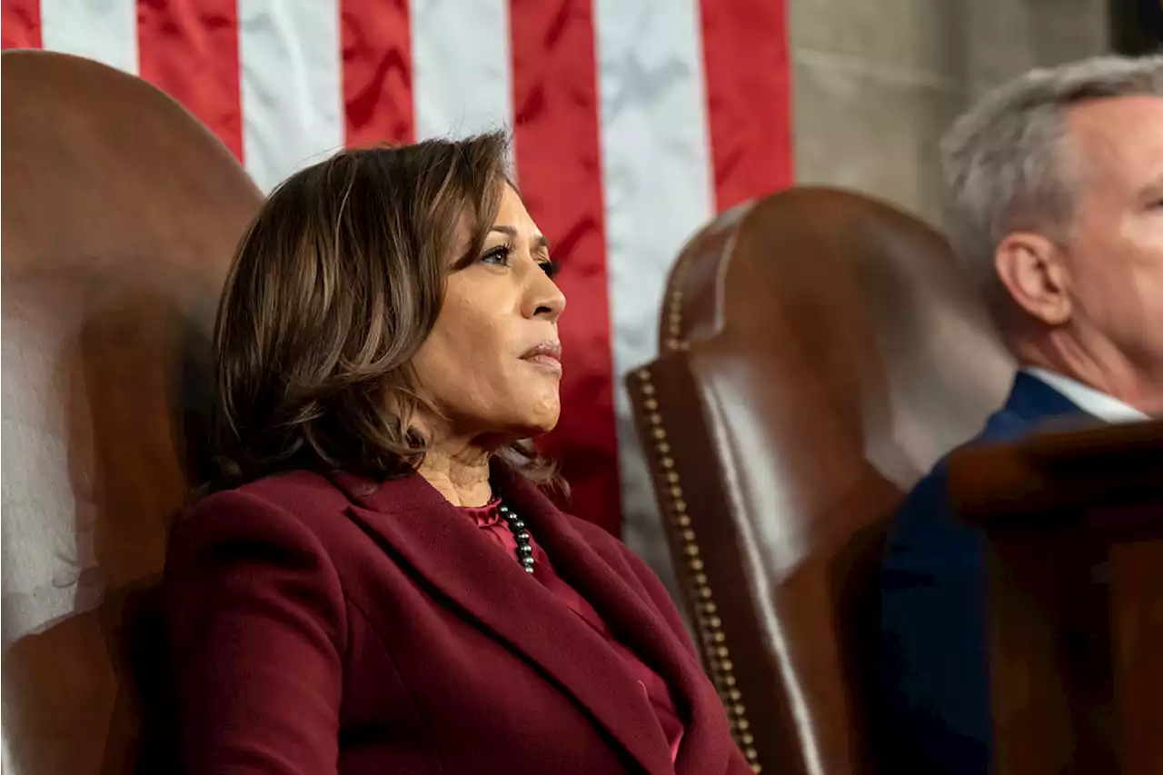 Harris faces new test of political skills in 2024 campaign - New York Amsterdam News