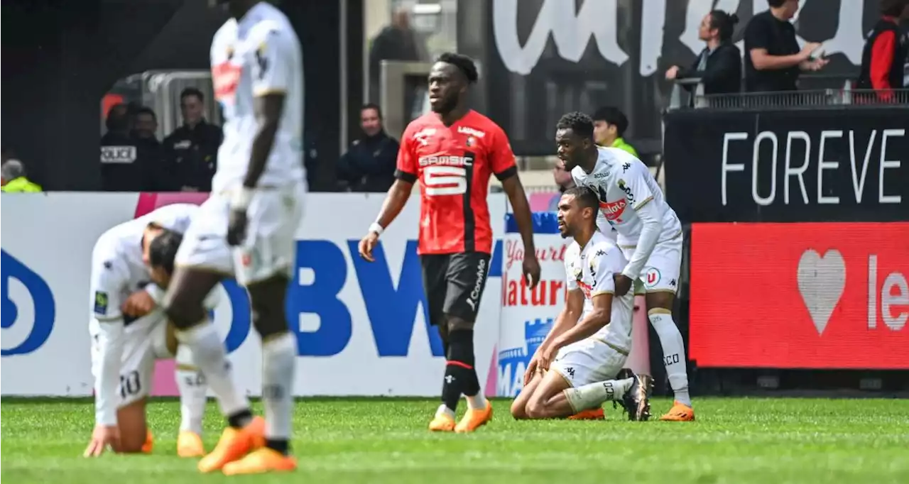 Angers réagit malgré un but gag, Nice et Clermont mènent... Les scores de Ligue 1 à la pause !