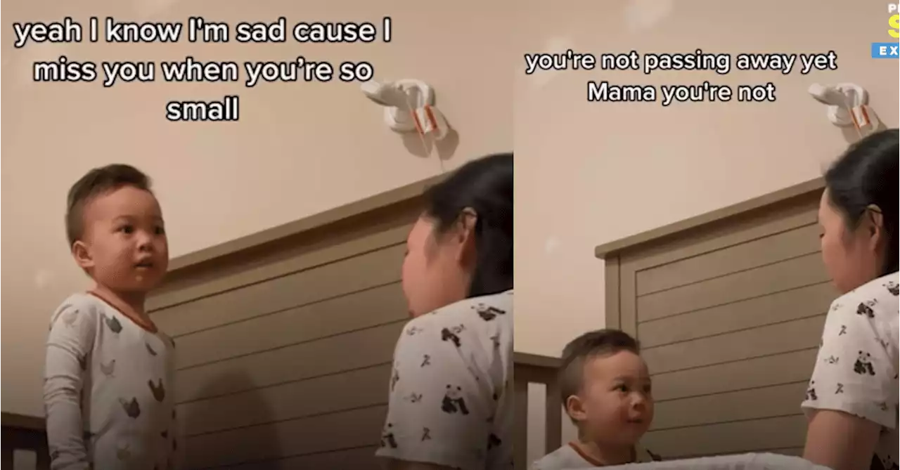 Canada-based Pinoy kid stuns netizens with his emotional intelligence - Latest Chika