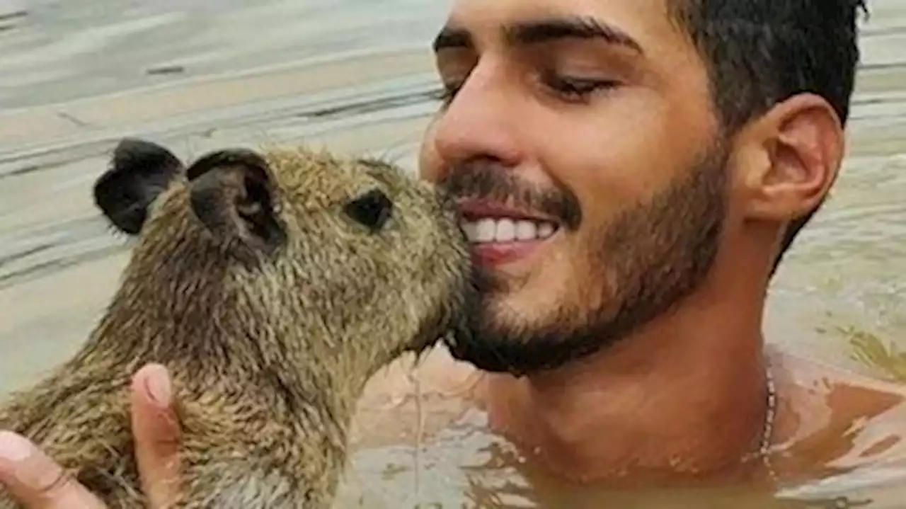 Conheça Filó, a capivara que morava com o influenciador Agenor Tupinambá