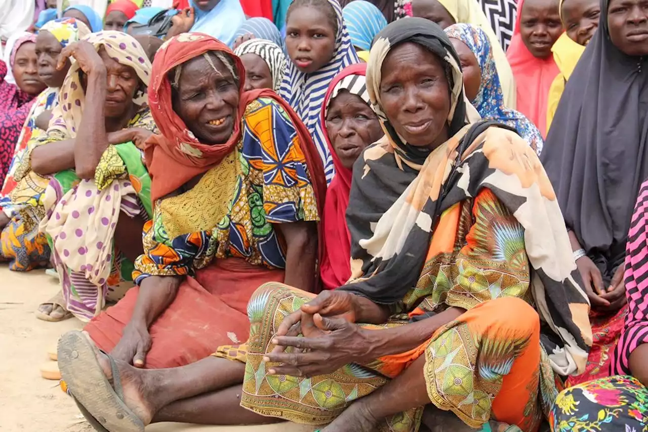 WFP to provide emergency food to 2.1 million Nigerians affected by conflict