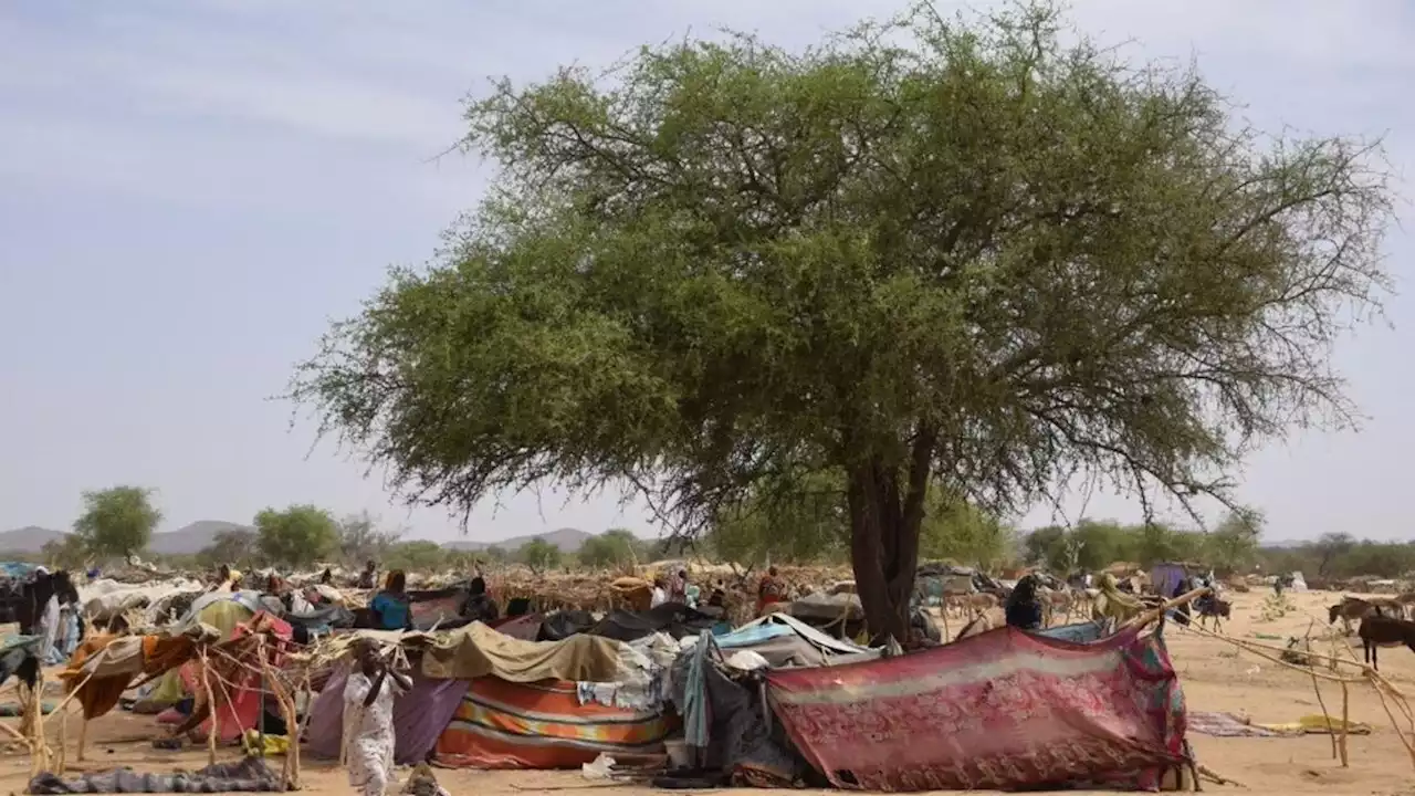 Le HCR s'inquiète d'un fort afflux de réfugiés soudanais en Centrafrique