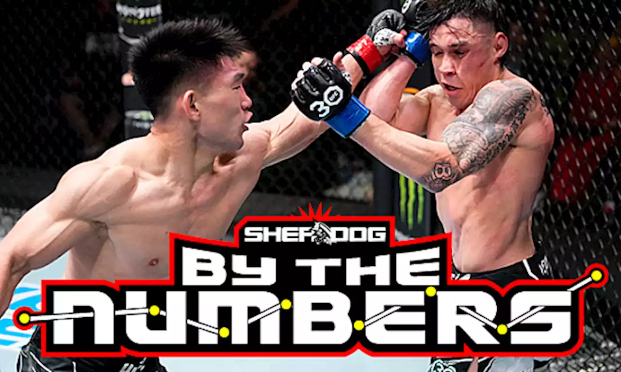 By the Numbers: UFC Fight Night 223