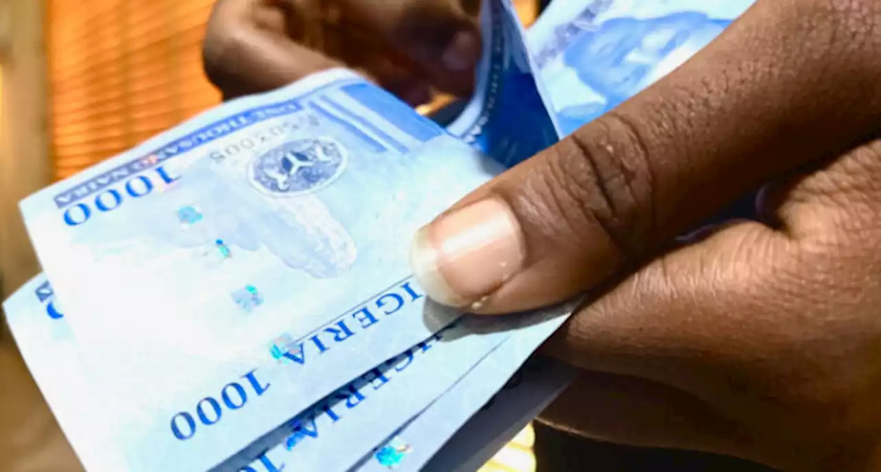 'Unfounded speculation' — CBN says no plan to phase out redesigned naira notes | TheCable