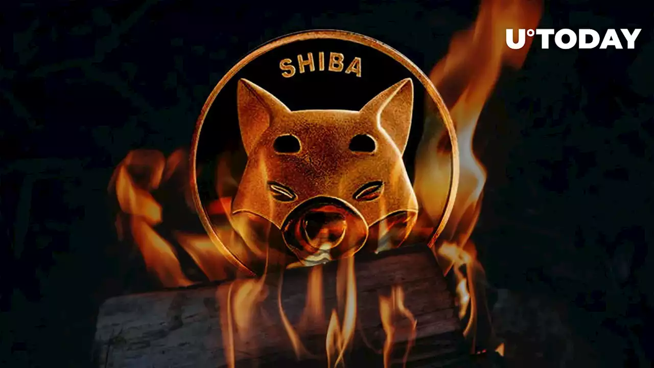 Shiba Inu Burn Rate Plummets With Only 22 Million SHIB Burned in Week