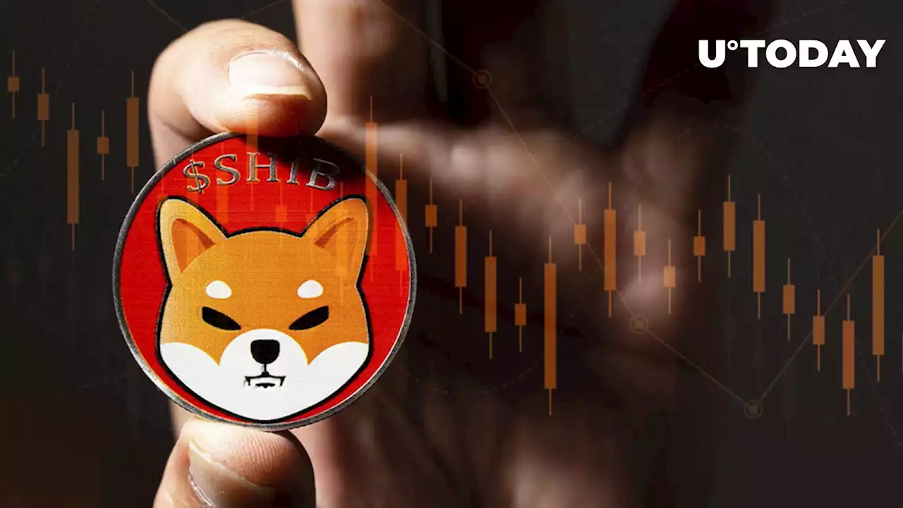 Shiba Inu (SHIB) Trend Reversal Incoming? Here's Why