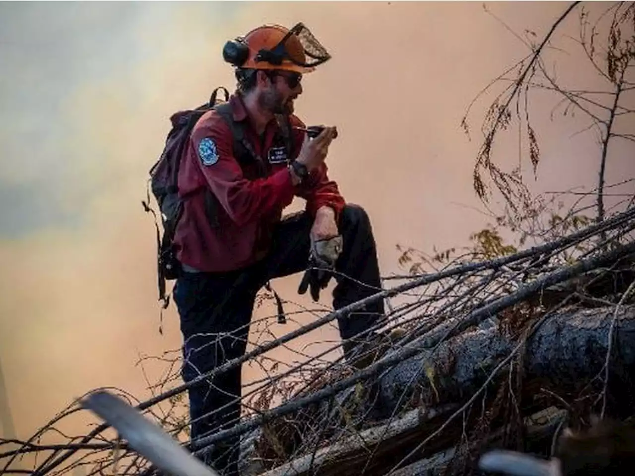 Wildfire breaks out in Peace River region