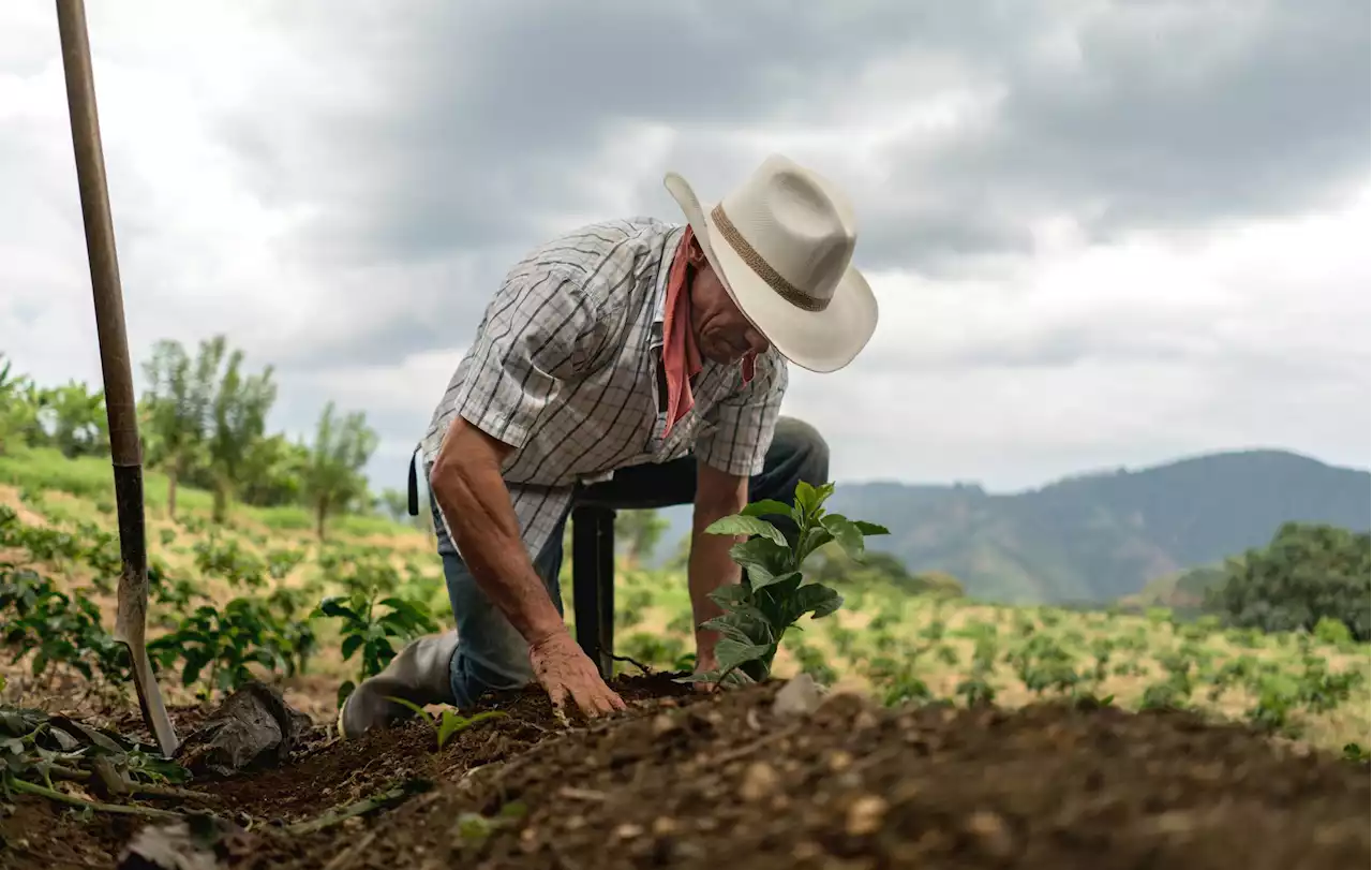 Si el Gobierno quiere comprar tierras, existen los mecanismos: Sociedad de Agricultores