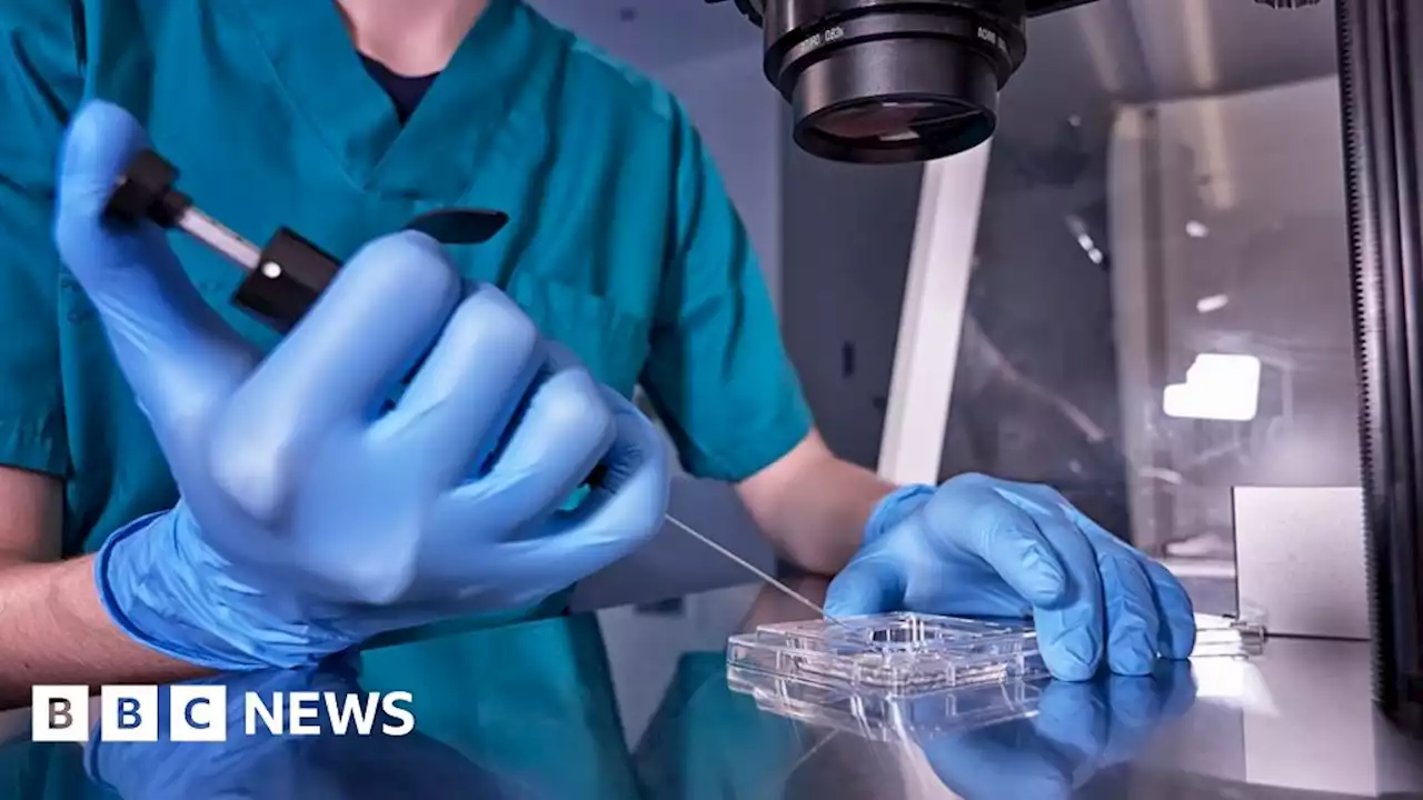 One in six people affected by infertility globally, says WHO