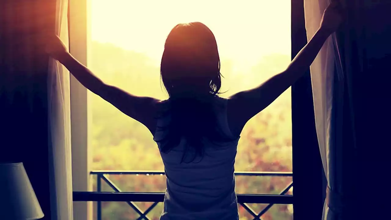 Why morning light is so crucial to your health - BBC Ideas