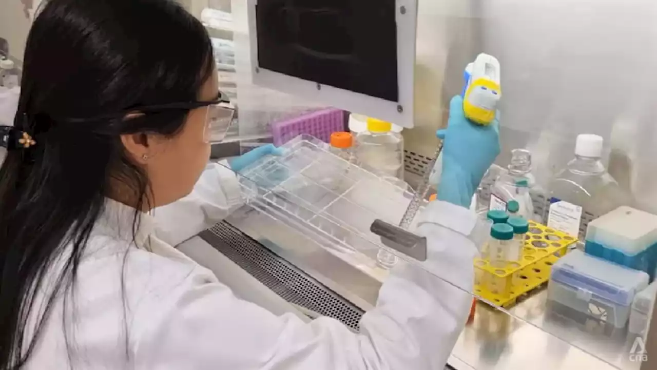 More Singapore firms expanding, setting up shop in the US after COVID-19 pandemic