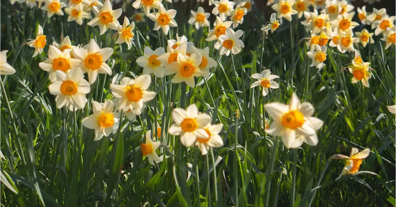 April Seasonality Favors Bitcoin and Stocks