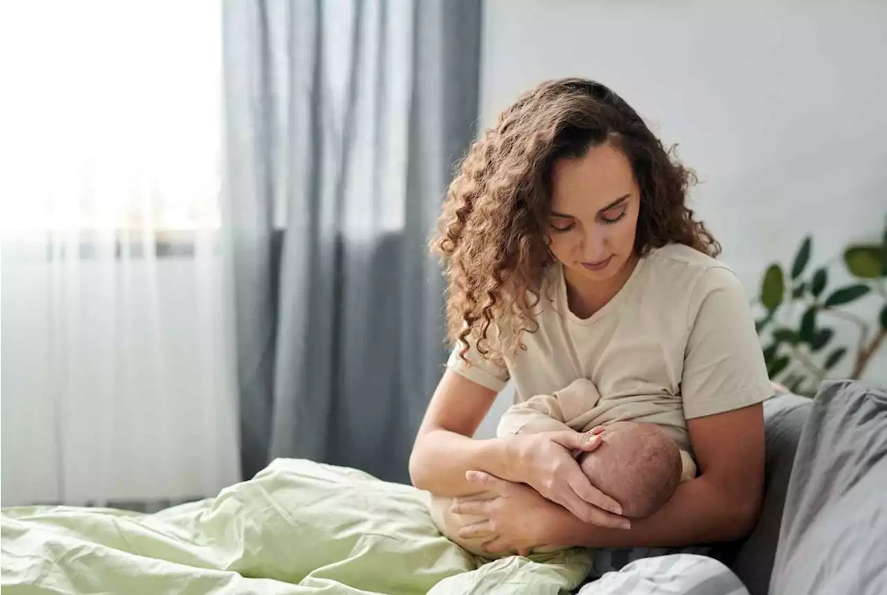 Des chercheurs étudient l'efficacité des biscuits de lactation sur la production de lait maternel