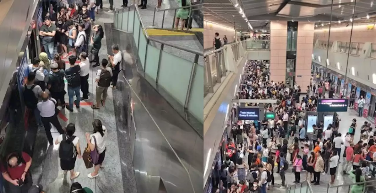 Singaporeans react to huge congestion at the NEL last week - Singapore News