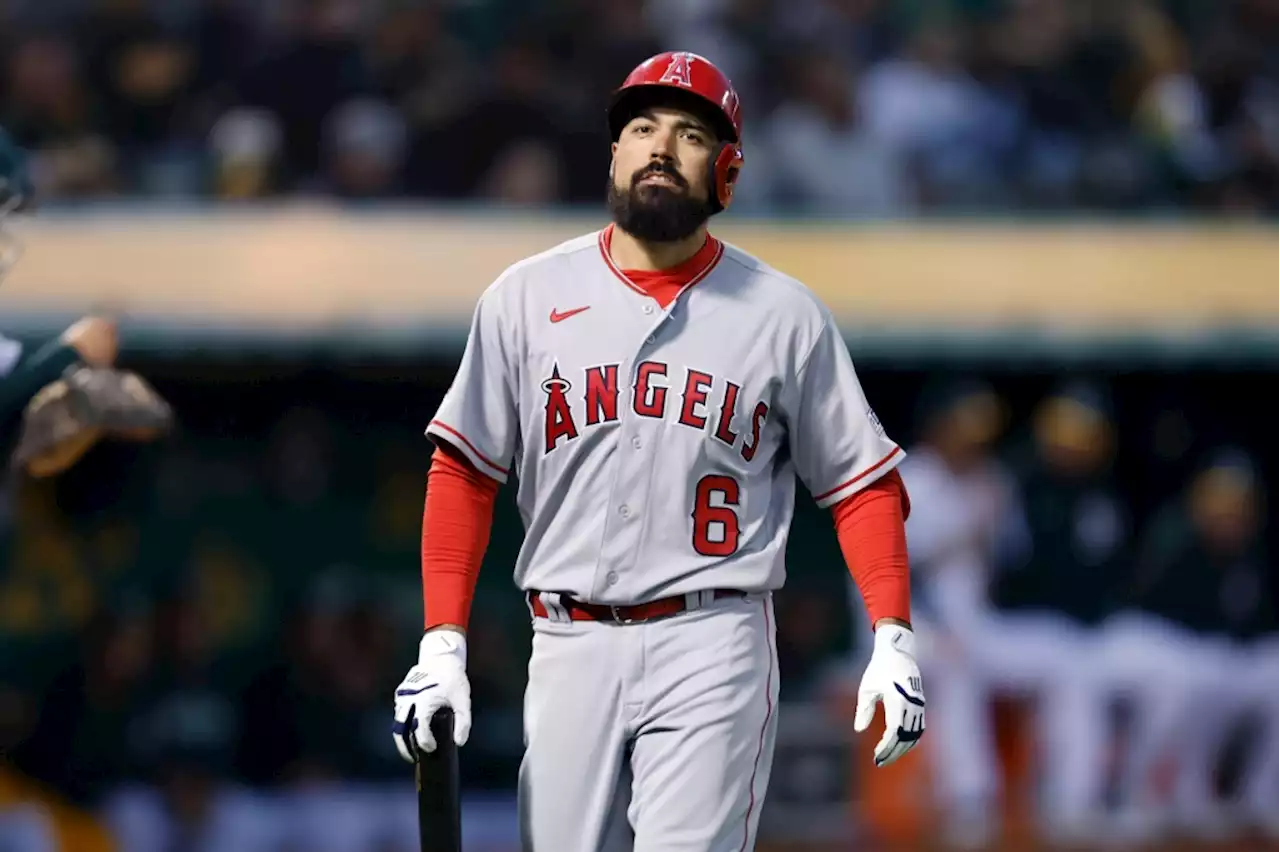 Angels’ Anthony Rendon suspended for 5 games after altercation with fan