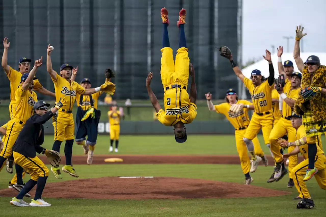 A whole new ballgame: Monkey business baseball heads to San Jose