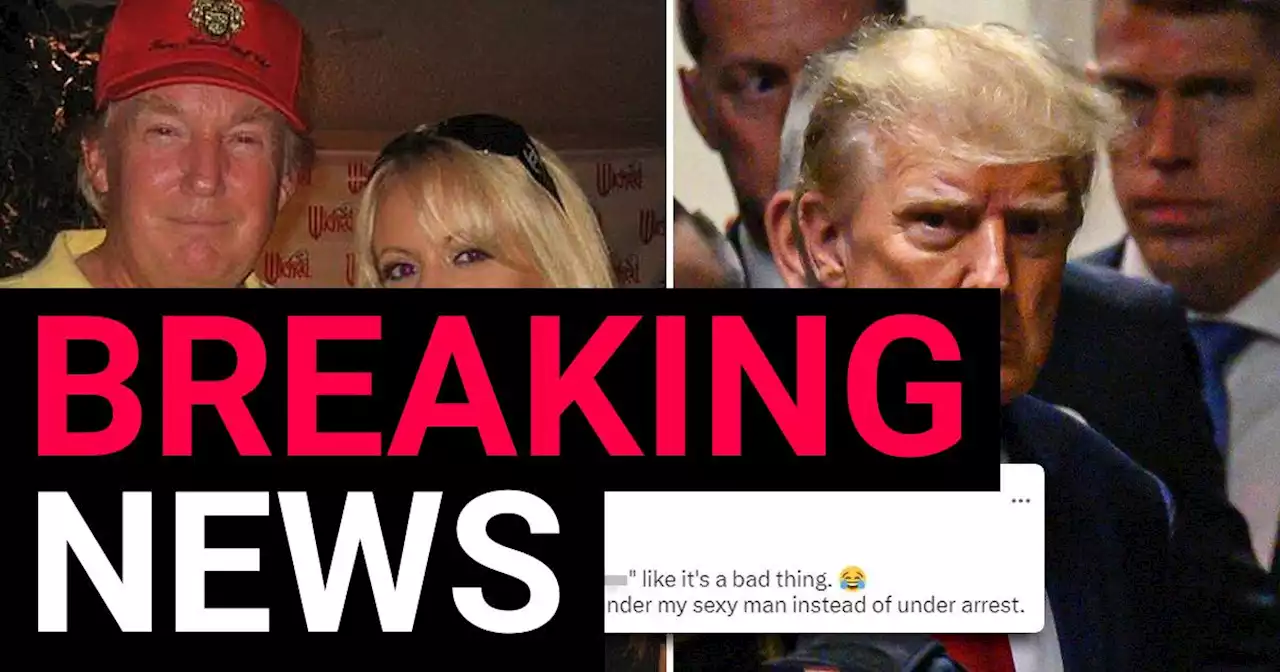 Stormy Daniels reacts to Donald Trump's arraignment