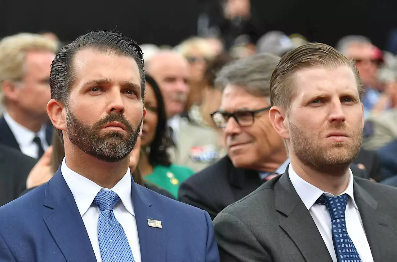 Trump family rages over Manhattan judge's daughter's work history