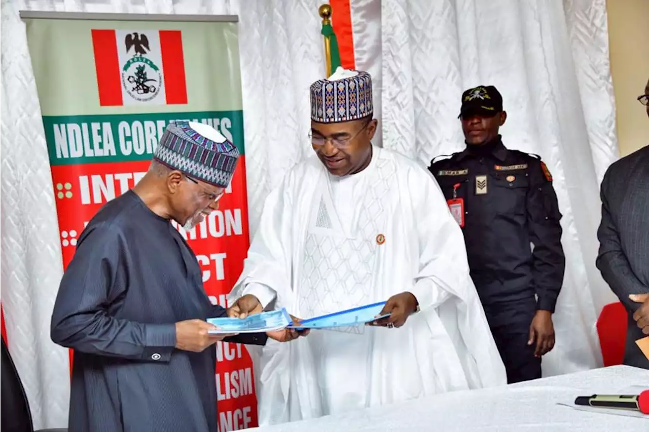 ‘Maximum loss for drug cartels’ — NDLEA, customs sign MoU | TheCable