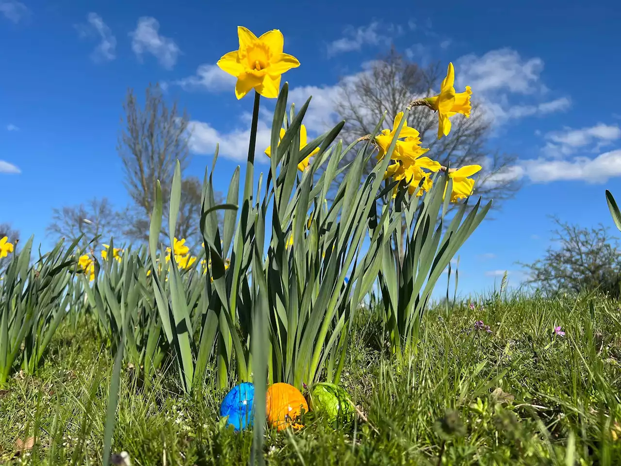 Ostern: So wird das Wetter