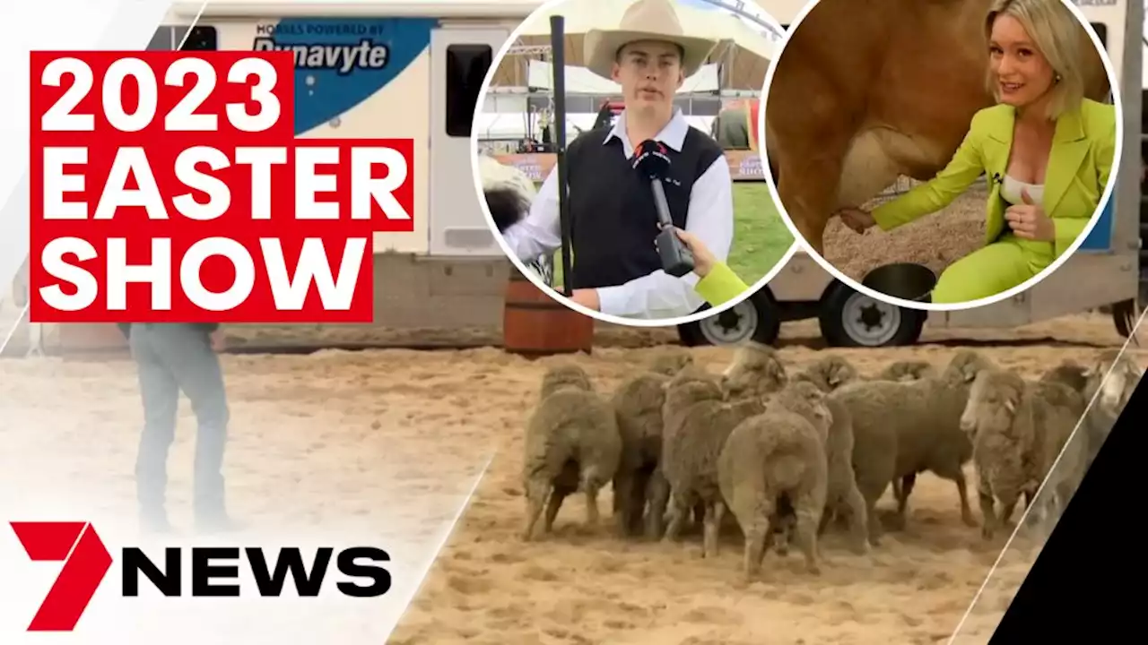 2023 Sydney Royal Easter Show | 7NEWS