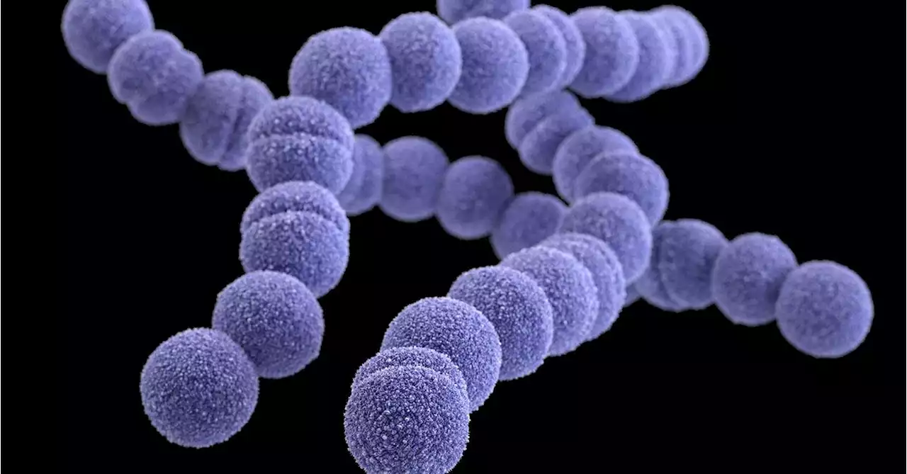 What is strep A, the deadly disease that has Australian health authorities on high alert?