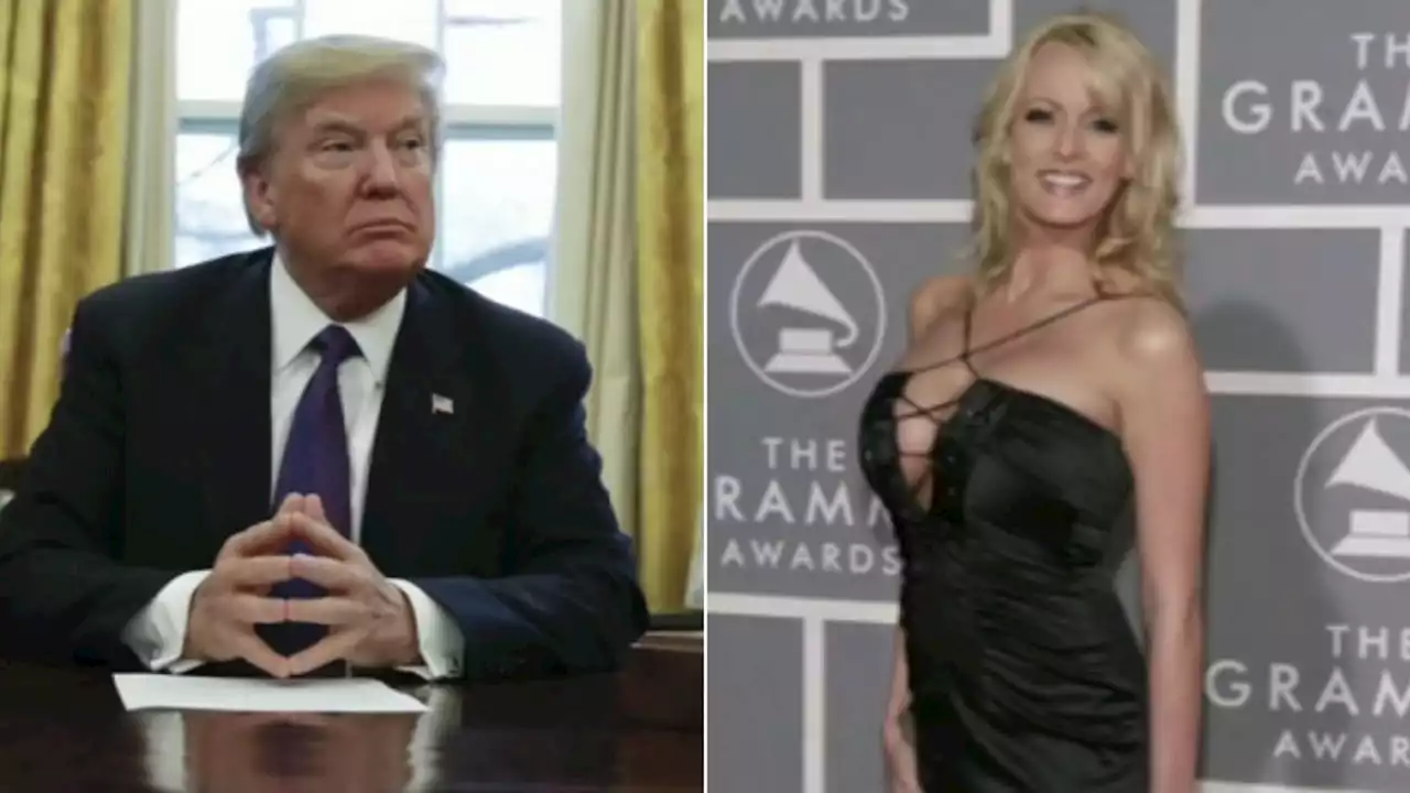 Stormy Daniels must pay $122K in Trump legal bills for failed defamation lawsuit: appeals court