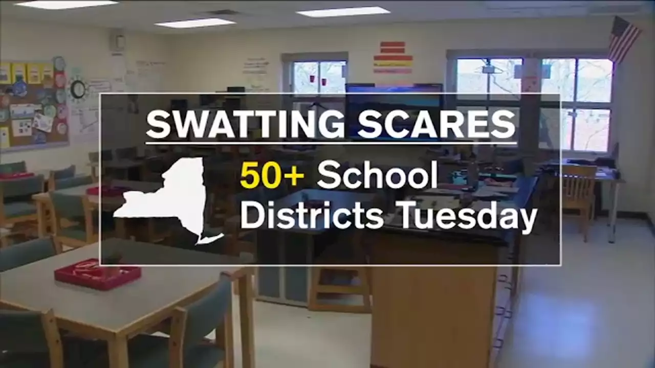 'Swatting' threats target dozens of school districts in New York