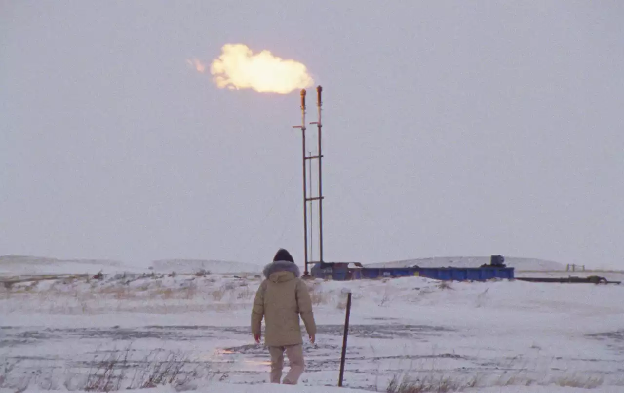 'How to Blow Up a Pipeline' explores vigilante eco-sabotage