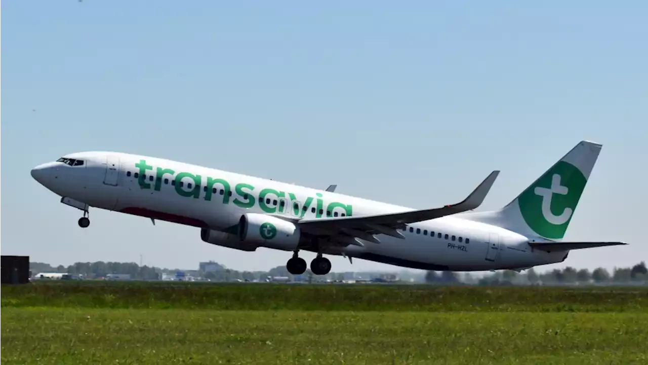 Transavia: iedere zomer 1,5 miljoen reizigers gedupeerd door schrappen nachtvluchten