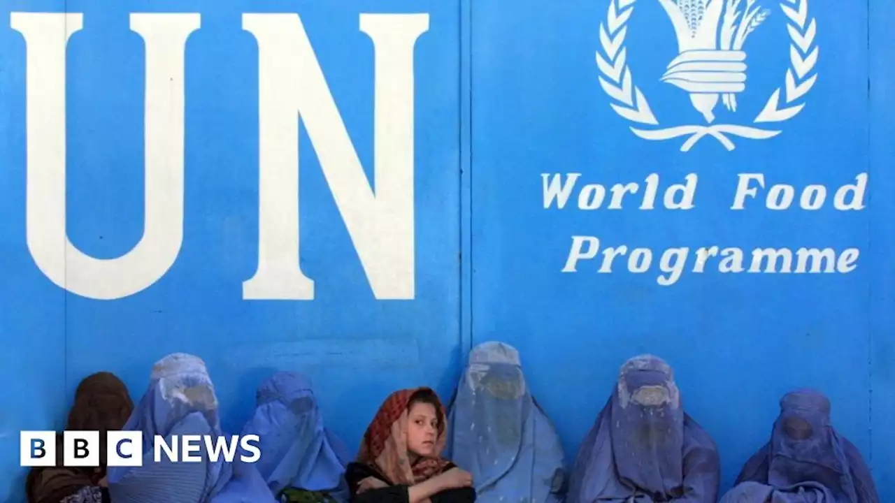 Taliban bans Afghan female staff, UN says