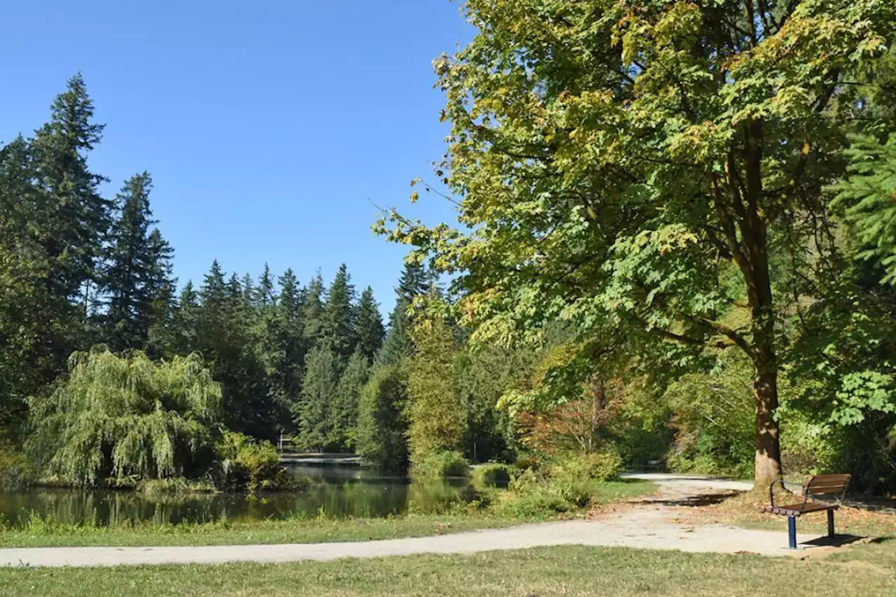 'Unsafe': $5M 'complete overhaul' needed for Central Park ponds in Burnaby