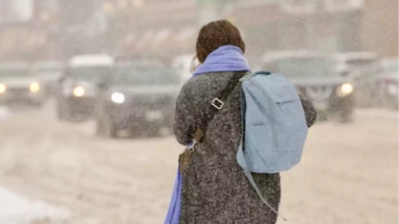 April snowstorm sweeps into southern Manitoba | CBC News