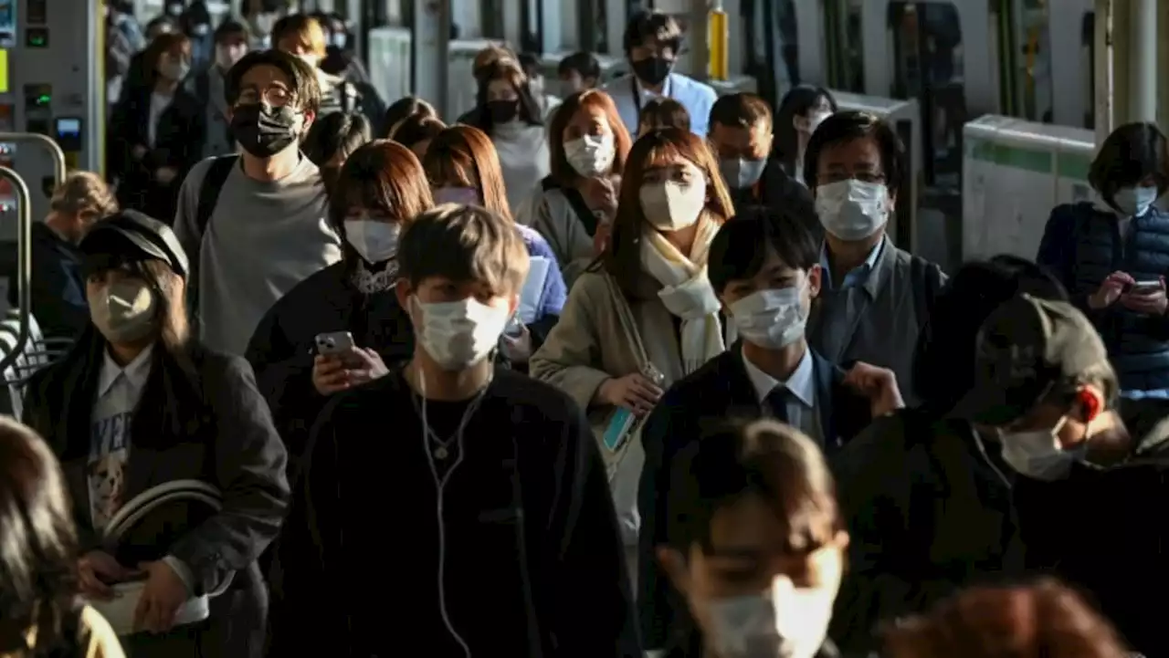 Japan government survey finds 1.5 million living as recluses