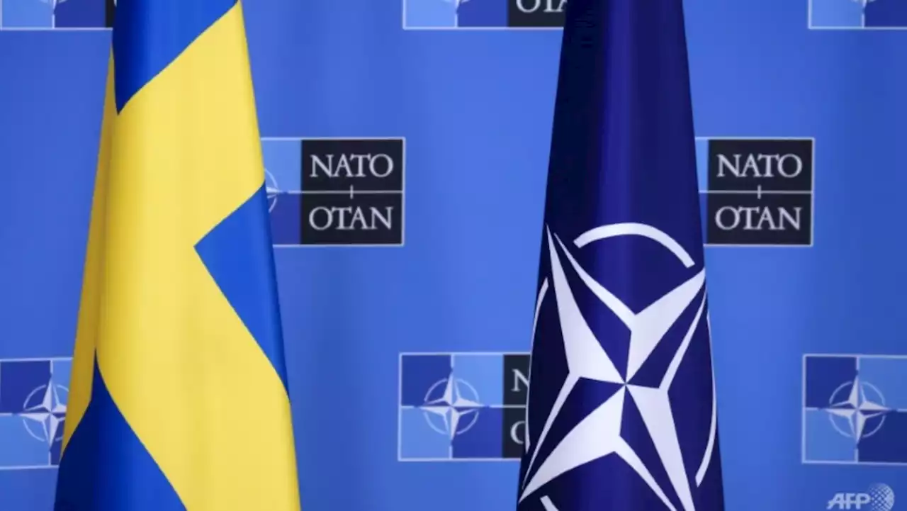 Long NATO delay spells trouble for Sweden and alliance: Experts